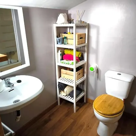 Apartment Disfruta De La Montana Y La Nieve En Fabuloso Piso Camprodon